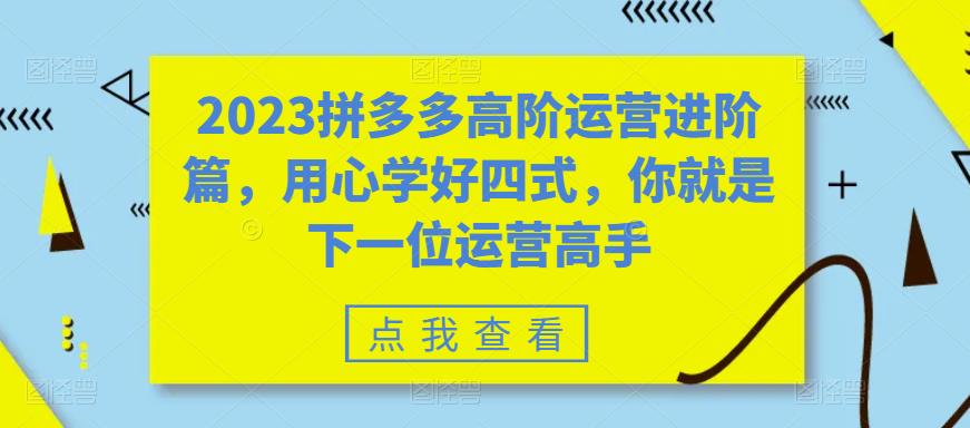 2023拼多多高阶运营进阶篇，用心学好四式，你就是下一位运营高手-小鸿资源库