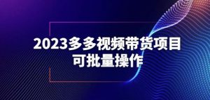 2023多多视频带货项目,可批量操作【保姆级教学】【揭秘】-小鸿资源库