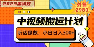 外面卖2980元2023黑科技操作中视频撸收益，听话照做小白日入300+-小鸿资源库