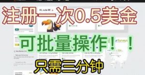 国外项目注册一次0.5美金,只需三分钟无脑操作,可批量同时放大操作,小白工作室福利【揭秘】-小鸿资源库