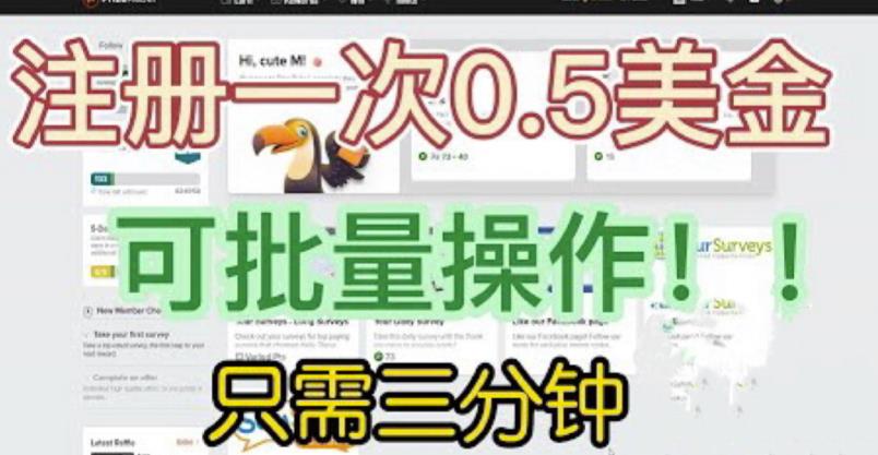 国外项目注册一次0.5美金，只需三分钟无脑操作，可批量同时放大操作，小白工作室福利【揭秘】-小鸿资源库
