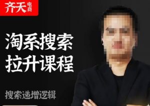 齐天电商·淘系搜索提升课程，​搜索递增标准化，动销标准化流程-小鸿资源库