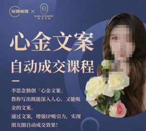 心金文案自动成交课程，教你写出既能深入人心又能吸金的文案，实现朋友圈自动成交效果-小鸿资源库