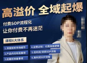 逸风-拼多多高溢价全域起爆，6大课程体系，付费玩法全套实操-小鸿资源库