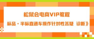 松鼠会电商VIP教程：松鼠《付费推广标品·半标直通车操作针对性答疑&诊断》-小鸿资源库