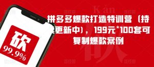 拼多多爆款打造特训营（持续更新中)，199元*100套可复制爆款案例-小鸿资源库