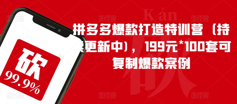 拼多多爆款打造特训营(持续更新中),199元*100套可复制爆款案例-小鸿资源库
