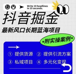 抖音掘金最新风口，长期蓝海项目，日入无上限（附实操案例）【揭秘】-小鸿资源库