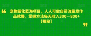 宠物细化蓝海项目，人人可做自带流量发作品就爆，掌握方法每天收入300－800+【揭秘】-小鸿资源库