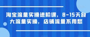 淘宝流量实操进阶课，8-15天放大流量实操，店铺流量不用愁-小鸿资源库