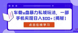 车载u盘暴力私域玩法，一部手机实现日入300+【揭秘】-小鸿资源库