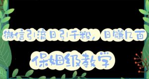 微信互推圈半自动引流方案，矩阵操作日引千人思路【详细视频教程】-小鸿资源库