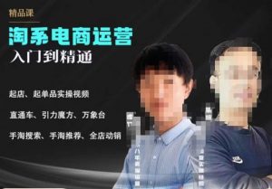 2023手淘搜索实操课+体系化课程，​起店起单品实操视频课程-小鸿资源库