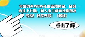 有道词典WOW社区蓝海项目，目前高速上升期，新人小白都可以换取高收益！赶紧布局！【揭秘】-小鸿资源库
