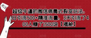 超级牛逼的微信病毒式裂变玩法，日引流500+精准流量，3天引流了400人赚了1500块【揭秘】-小鸿资源库