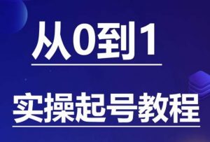石野·小白起号实操教程，​掌握各种起号的玩法技术，了解流量的核心-小鸿资源库
