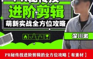 PR进阶剪辑培训班，让你快速成为剪辑大师12节视频课程+素材！-小鸿资源库