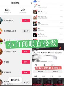 一天做完别一辈子的视频制作最近很火的《1000个野路子信息差》100%过原创【揭秘】-小鸿资源库