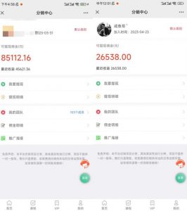 闲鱼流量掘金-虚拟变现新玩法配合全网项目库，精准引流变现3W+-小鸿资源库