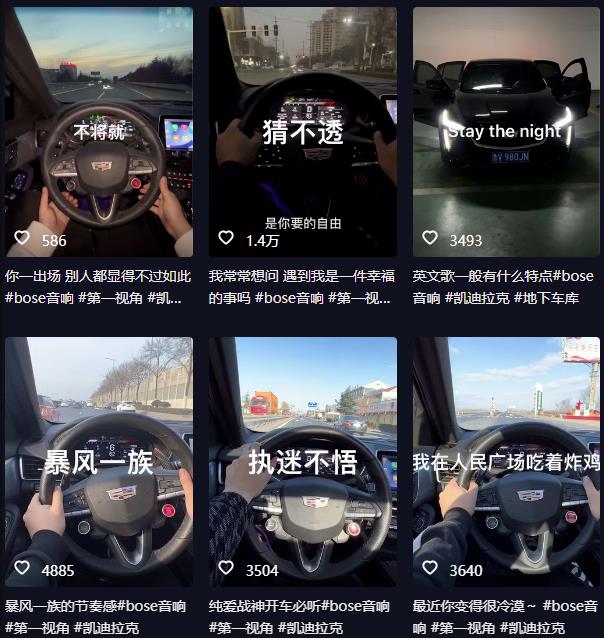 抖音开车视频项目，0基础操作，每天五分钟，月入1W+【揭秘】-小鸿资源库