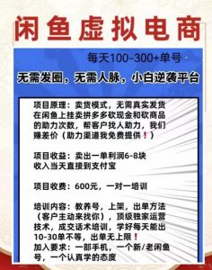 外边收费600多的闲鱼新玩法虚似电商之拼多多助力项目，单号100-300元-小鸿资源库