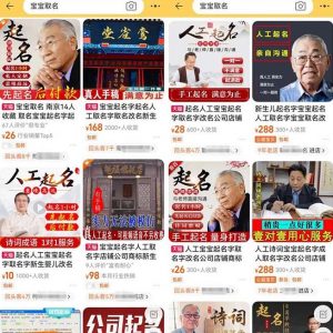 拆解小红书宝宝起名虚拟副业项目,一条龙实操玩法分享给你(教程+软件)-小鸿资源库