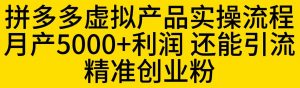 拼多多虚拟产品实操流程，月产5000+利润，还能引流精准创业粉【揭秘】-小鸿资源库