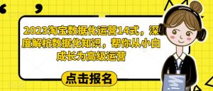 2023淘宝数据化运营14式，深度解析数据化知识，帮你从小白成长为高级运营-小鸿资源库