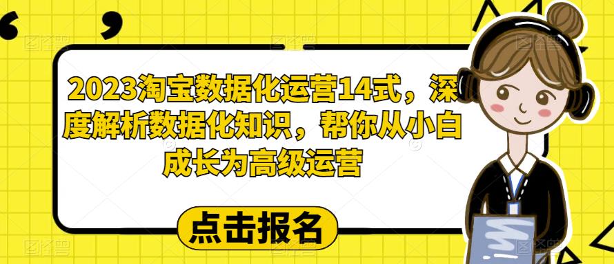 2023淘宝数据化运营14式，深度解析数据化知识，帮你从小白成长为高级运营-小鸿资源库