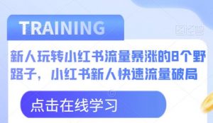 新人玩转小红书流量暴涨的8个野路子，小红书新人快速流量破局-小鸿资源库