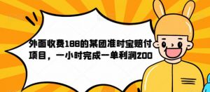 外面收费188的美团准时宝赔付项目，一小时完成一单利润200【仅揭秘】-小鸿资源库