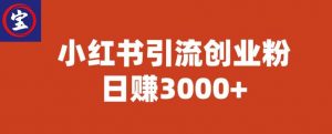 宝哥小红书引流创业粉，日赚3000+【揭秘】-小鸿资源库