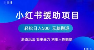 小红书援助项目新奇玩法，简单暴力，无脑搬运轻松日入500【揭秘】-小鸿资源库