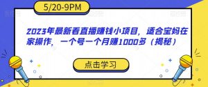 2023年最新看直播赚钱小项目，适合宝妈在家操作，一个号一个月赚1000多（揭秘）-小鸿资源库