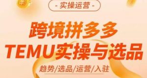 伍跃·跨境拼多多TEMU实操与选品，​趋势/选品/运营/入住（27节完整）-小鸿资源库