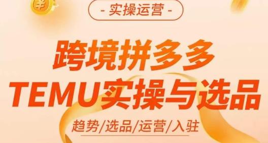 伍跃·跨境拼多多TEMU实操与选品，​趋势/选品/运营/入住（27节完整）-小鸿资源库