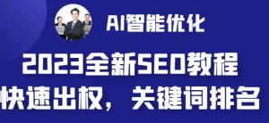 2023最新网站AI智能优化SEO教程，简单快速出权重，AI自动写文章+AI绘画配图-小鸿资源库