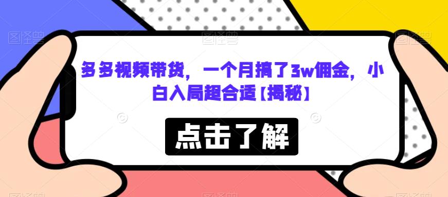多多视频带货，一个月搞了3w佣金，小白入局超合适【揭秘】-小鸿资源库