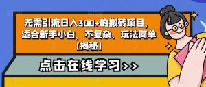 4个冷门副业思路玩法，从0到1，闷声发财，让你实现财富自由【揭秘】-小鸿资源库