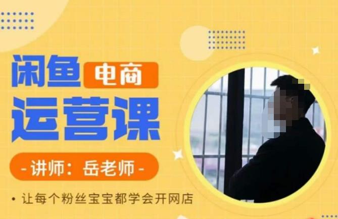 岳老师·闲鱼电商运营课，让每个粉丝宝宝都学会开网店-小鸿资源库