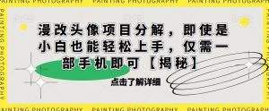 漫改头像项目分解，即使是小白也能轻松上手，仅需一部手机即可【揭秘】-小鸿资源库