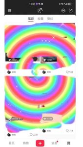 冷门高利润项目，小红书带货，无脑搬运，一部手机实现日入500+【揭秘】-小鸿资源库