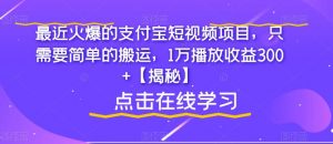 最近火爆的支付宝短视频项目，只需要简单的搬运，1万播放收益300+【揭秘】-小鸿资源库