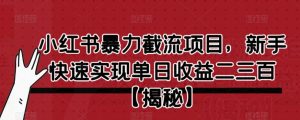 小红书暴力截流项目,新手快速实现单日收益二三百【仅揭秘】-小鸿资源库