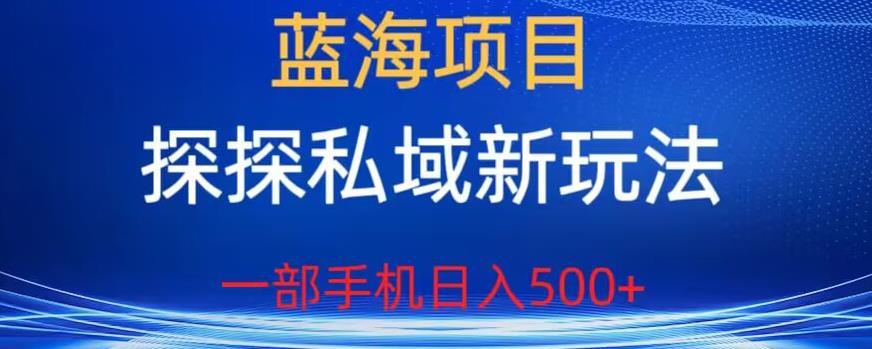 蓝海项目，探探私域新玩法，一部手机日入500+很轻松【揭秘】-小鸿资源库