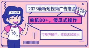 2023最新玩法短视频广告撸金，亲测单机收益80+，可矩阵，傻瓜式操作，小白可上手【揭秘】-小鸿资源库