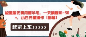 极速版无费用薅羊毛，一天躺赚10-50+，小白无脑操作【拆解】-小鸿资源库