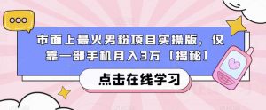 市面上最火男粉项目实操版，仅靠一部手机月入3万【揭秘】-小鸿资源库