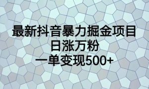 最新抖音暴力掘金项目，日涨万粉，一单变现500+【揭秘】-小鸿资源库