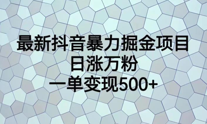 最新抖音暴力掘金项目，日涨万粉，一单变现500+【揭秘】-小鸿资源库